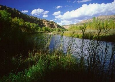 Gates, GOCO, Others Partner to Fund Large-Scale Habitat Restoration and Stewardship