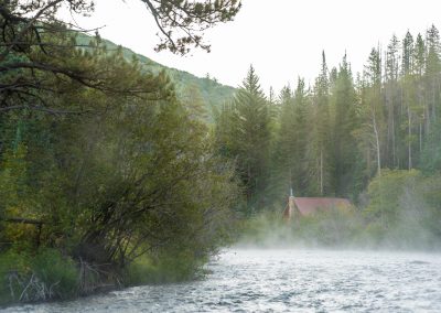 Study finds temporary fallowing might help in drought