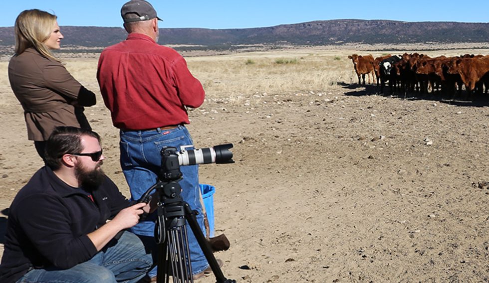 Strategic Grants, Funding & Grantmaking Gates Family Foundation