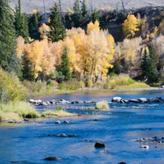 A landscape view of the Fraser River Windy Gap during the fall season