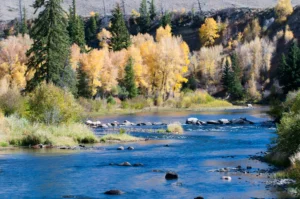 A landscape view of the Fraser River Windy Gap during the fall season